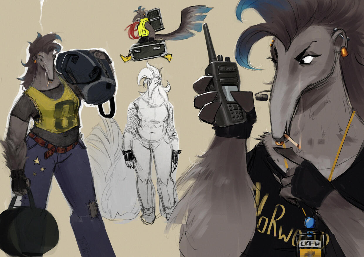 Anteater Roadie